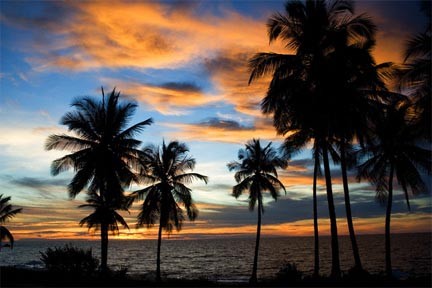 Health & Wellness Programs & Seminars by Edwin Riley, Ph.D